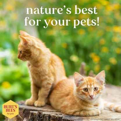 Burt's Bees Shea & Honey Hypoallergenic Cat Shampoo for Sensitive Skin, 10 Fl Oz