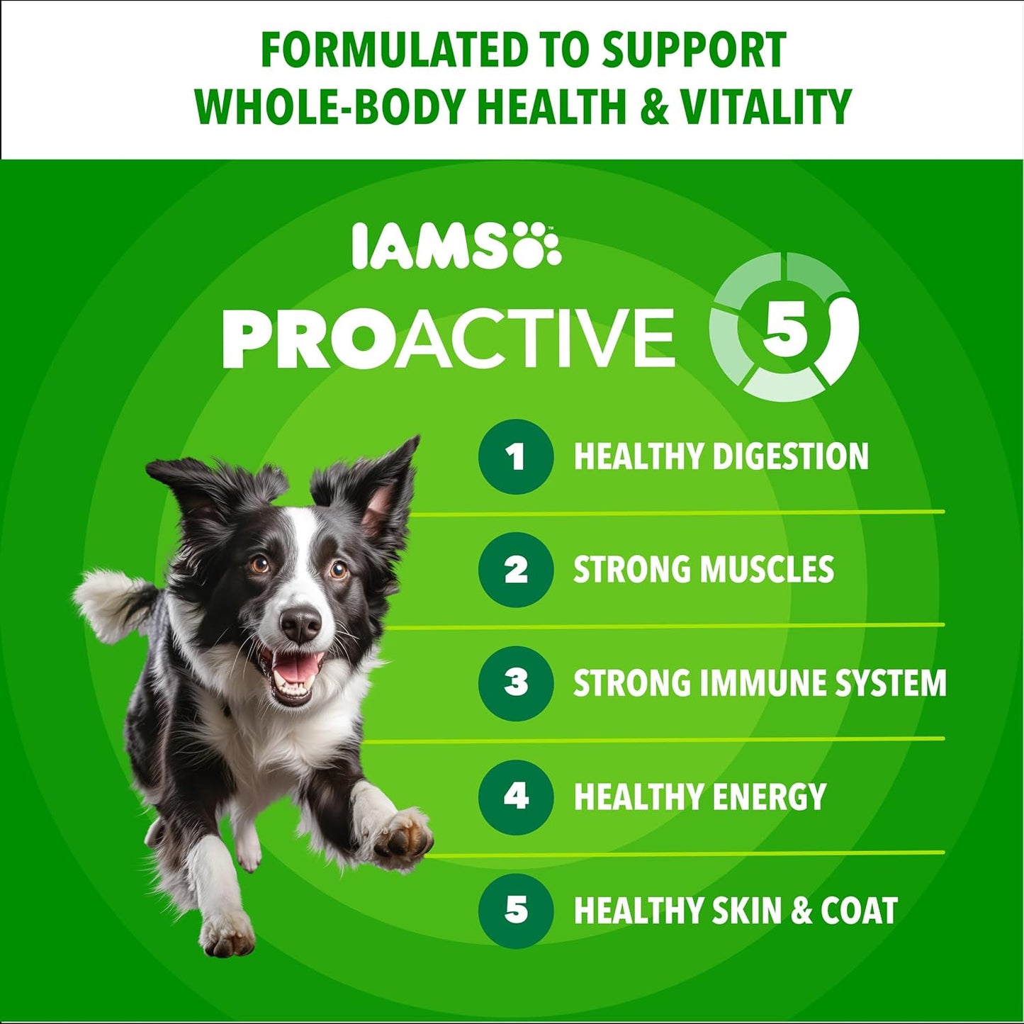 IAMS Proactive Health Adult Minichunks Dry Dog Food Chicken & Whole Grain Recipe