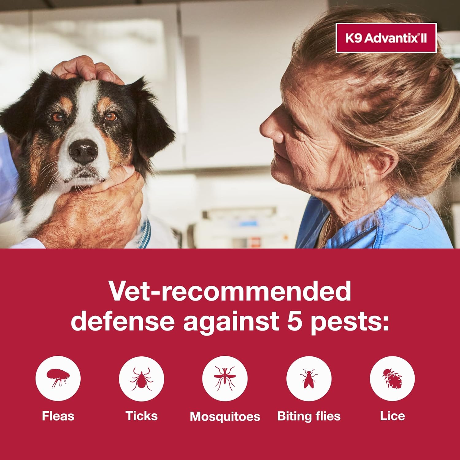 Large Dog Vet-Recommended Flea, Tick & Mosquito Treatment & Prevention | Dogs 21-55 Lbs. | 2-Mo Supply 
