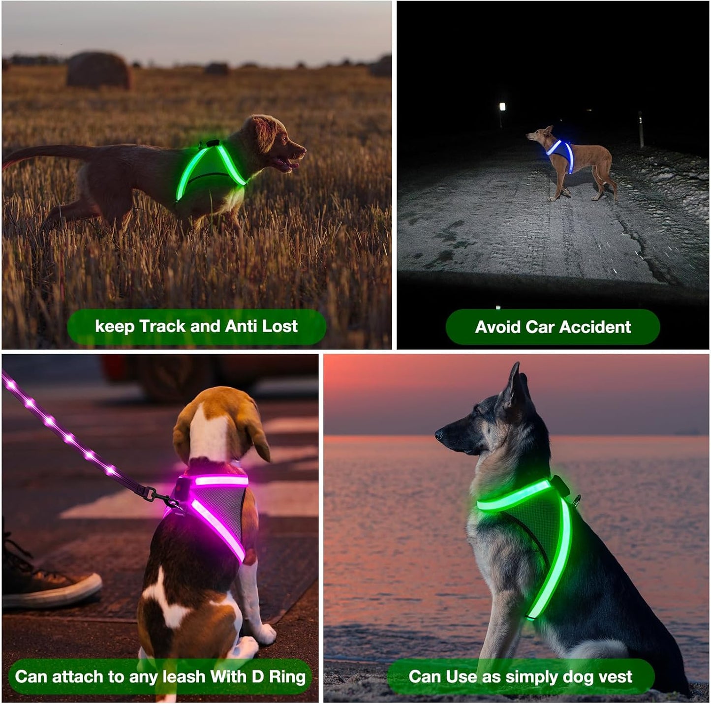 Light up Dog Harness, No Pull Led Dog Harness Glow-In-The-Dark for Night Walking, USB Rechargeable Lighted Safety Vest for Small Dogs, Adjustable Soft Mesh Fully Illuminated (Green, Small)