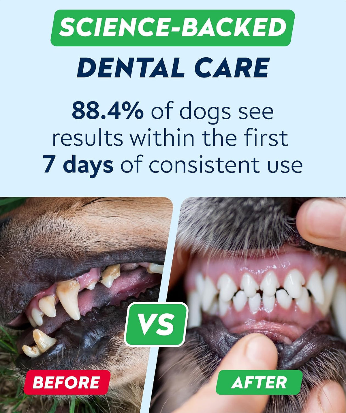 Advanced Dog Dental Powder Breath Freshener, Dog Teeth Cleaning