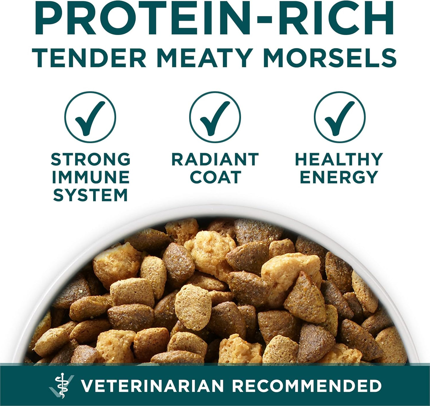 Purina ONE plus Large Breed Puppy Food Dry Formula 