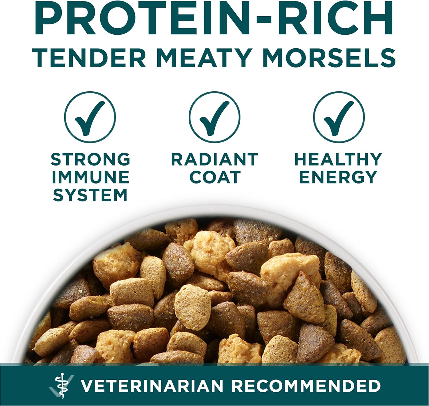 Purina ONE plus Large Breed Puppy Food Dry Formula 