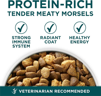Purina ONE plus Large Breed Puppy Food Dry Formula 