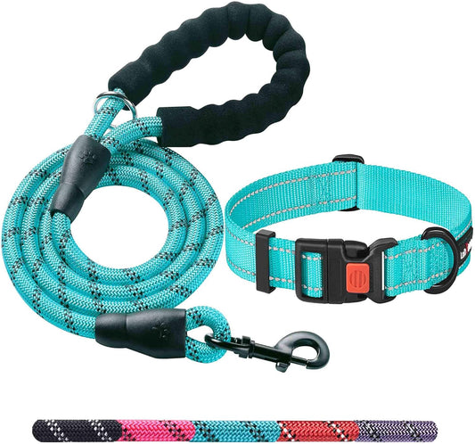 Heavy Duty Dog Leash - Comfortable Padded Handle, 5 Ft Long - Dog Leashes for Small Medium Large Dogs (Leash+Collar M Neck 16"-20", Blue)