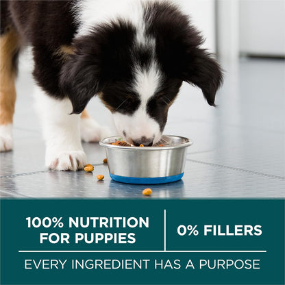 Purina ONE plus Large Breed Puppy Food Dry Formula 