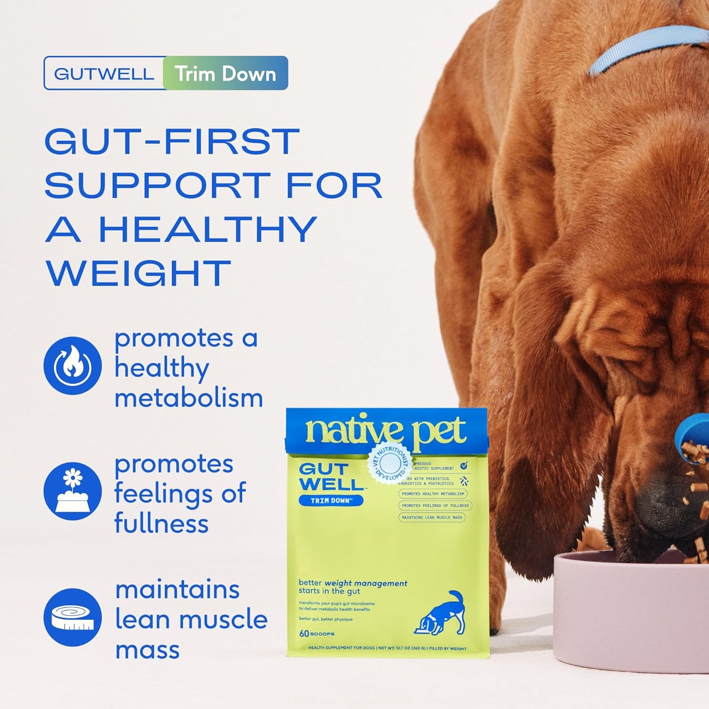 Gutwell Trim down - Weight Management Dog Food Topper - Dog Weight Loss Supplement Promotes Feeling of Fullness, Healthy Metabolism & Lean Muscle with Triple-Biotic Blend & L-Carnitine - 60 Scoops