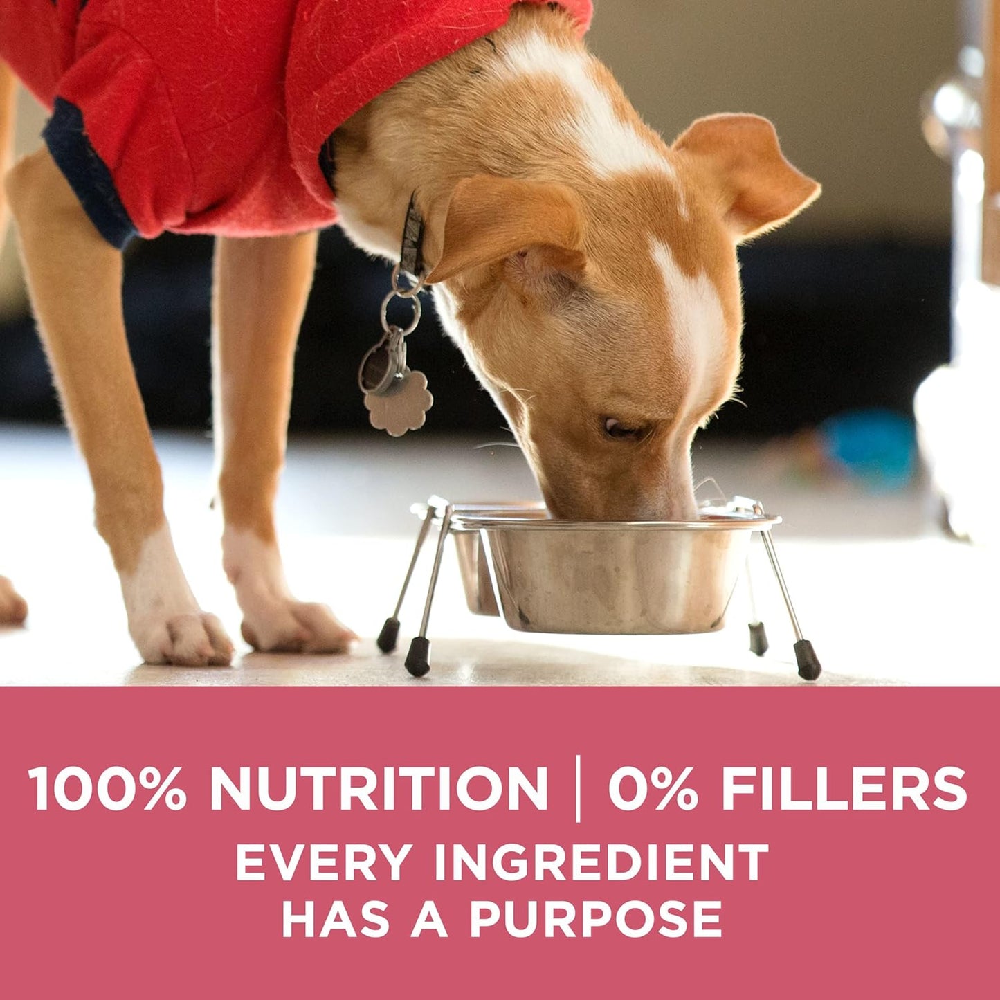 Purina ONE Natural, Sensitive Stomach Dry Dog Food, +Plus Skin & Coat Formula 