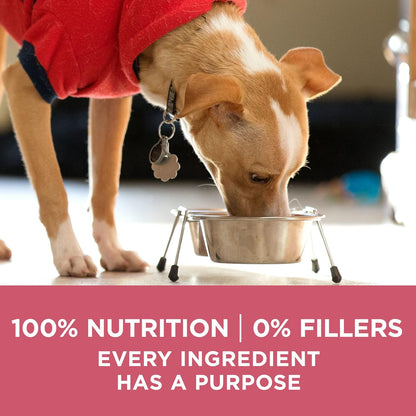 Purina ONE Natural, Sensitive Stomach Dry Dog Food, +Plus Skin & Coat Formula 