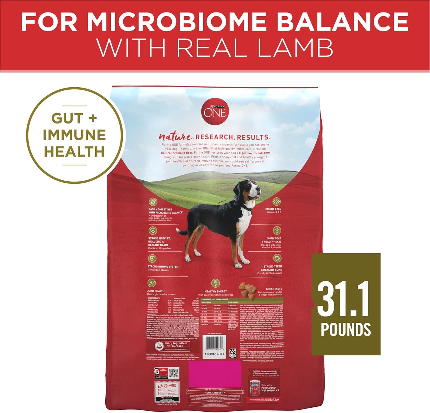 Purina ONE Dry Dog Food Lamb and Rice Formula 