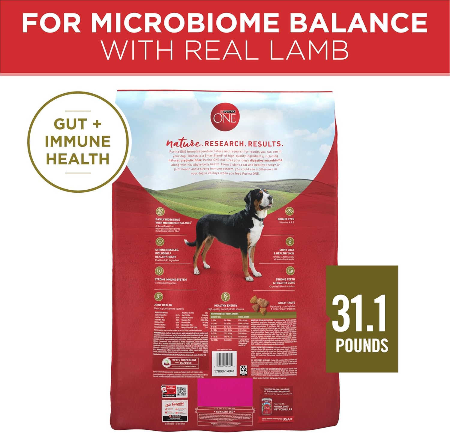 Purina ONE Dry Dog Food Lamb and Rice Formula 