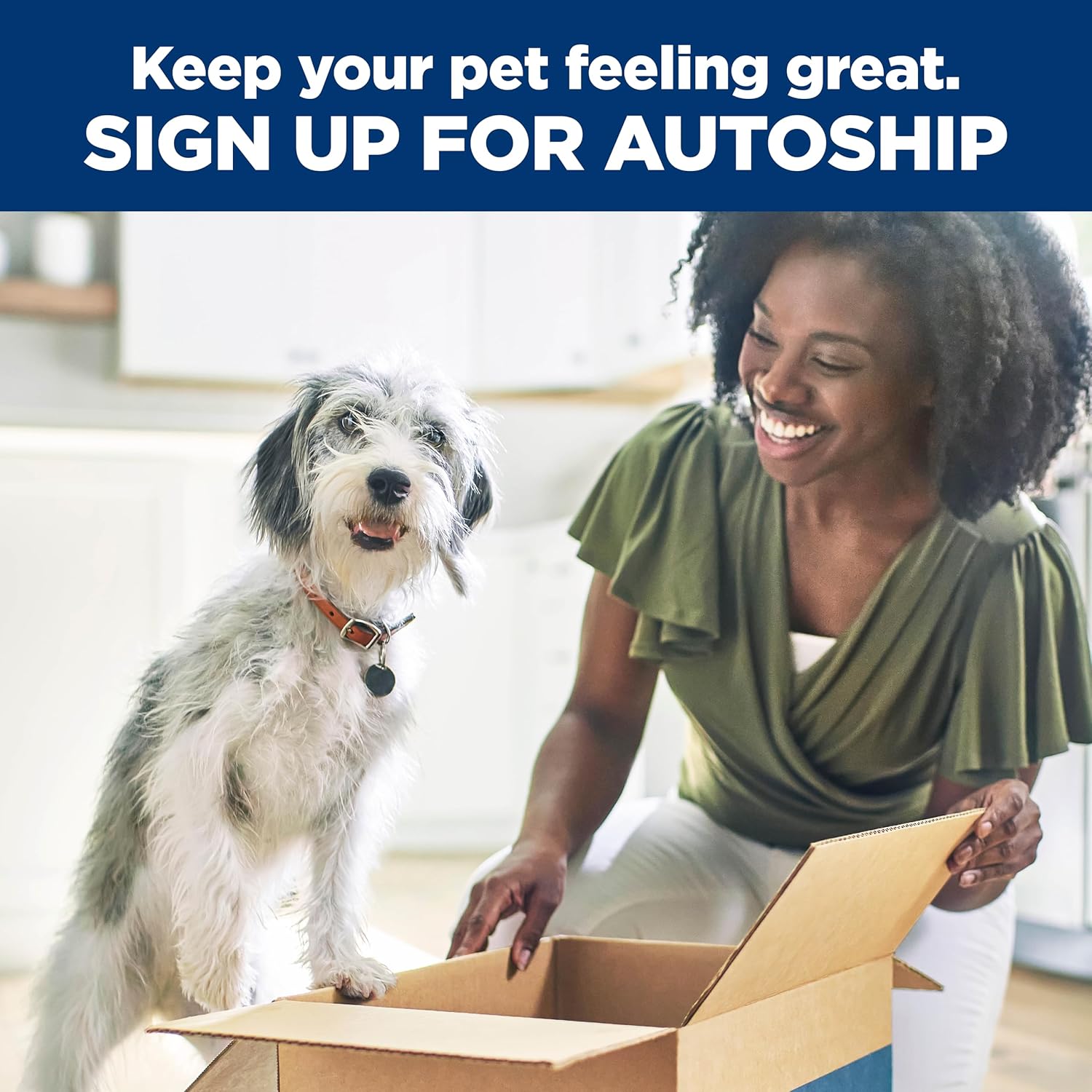 Adult 1-6, Adult 1-6 Premium Nutrition, Small Kibble, Dry Dog Food, Chicken & Barley, 15 Lb Bag