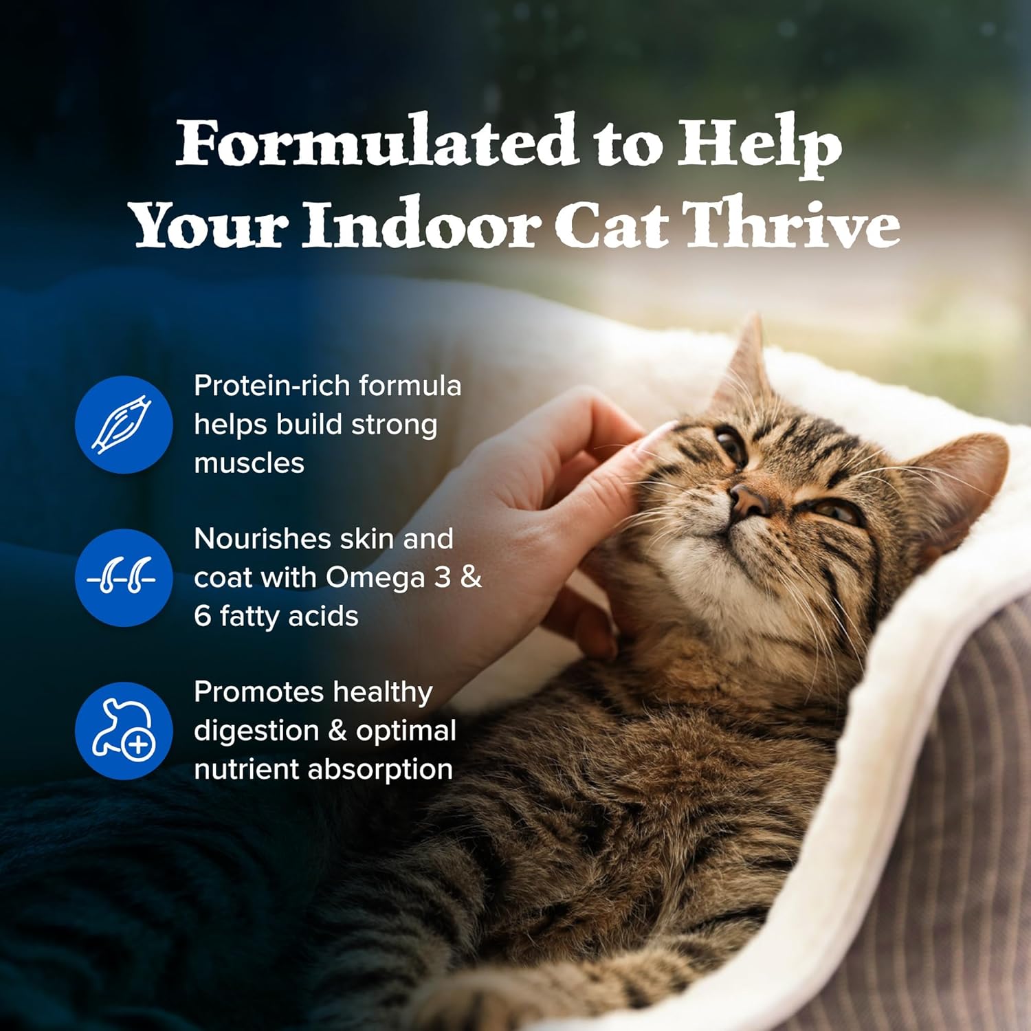 Blue Buffalo Wilderness Natural Adult Dry Cat Food Indoor Cats, High-Protein & Grain-Free, Chicken, 5-Lb. Bag