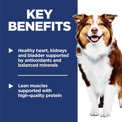 Adult 7+, Senior Adult 7+ Premium Nutrition, Dry Dog Food, Chicken, Brown Rice, & Barley, 15 Lb Bag