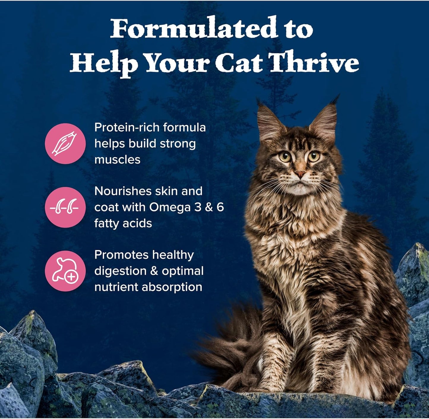 Blue Buffalo Wilderness Natural High Protein, Grain Free Dry Food for Adult Cats, Salmon - 11 lbs