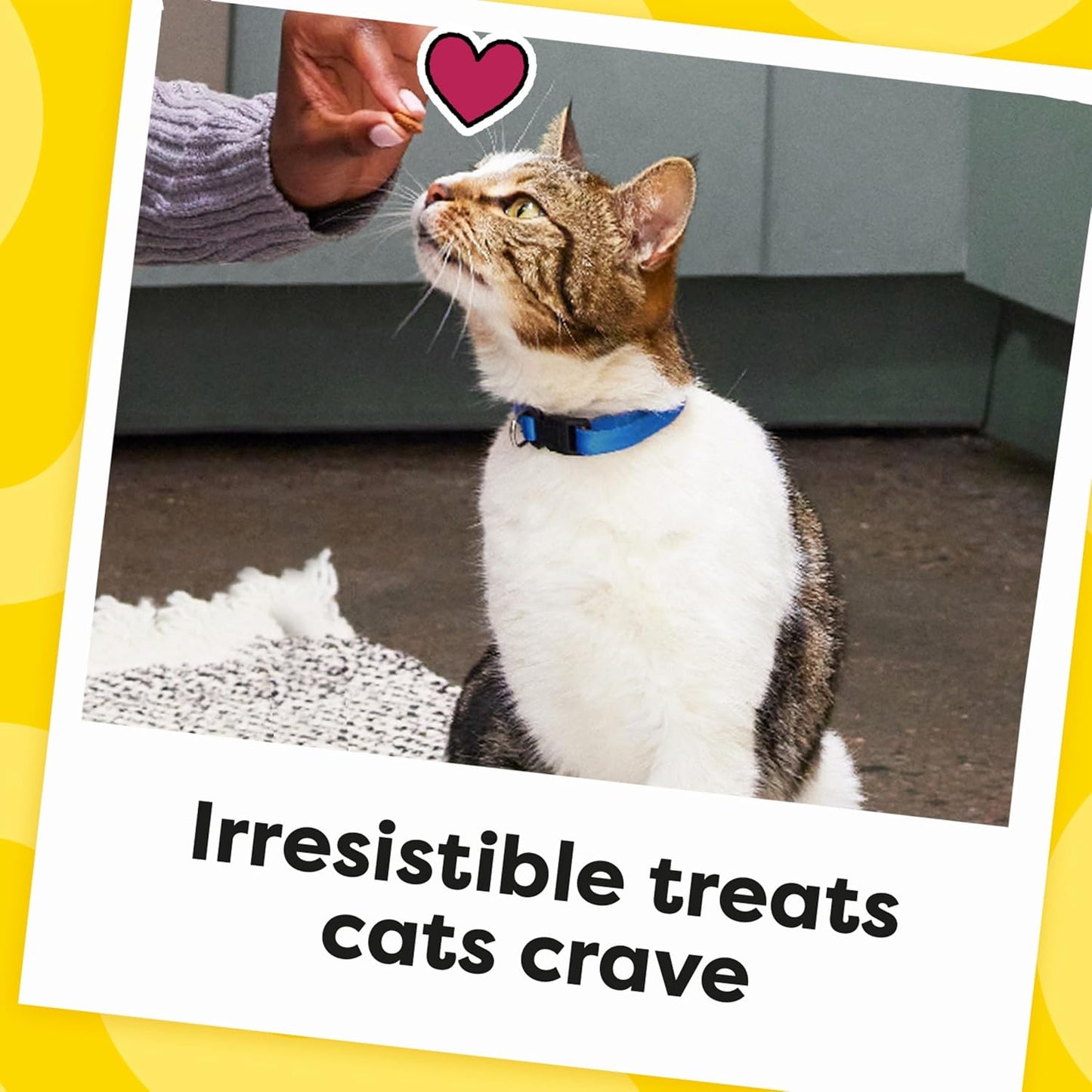 Temptations Cat Treats Classic Crunchy and Soft Cat Treats, Tasty Chicken Flavor, 16 Oz. Tub