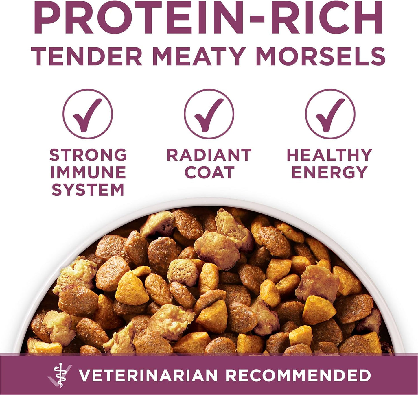 Purina ONE plus Healthy Puppy Formula High Protein Natural Dry Puppy Food with Added Vitamins, Minerals and Nutrients - 16.5 Lb. Bag