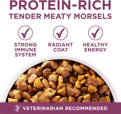 Purina ONE plus Healthy Puppy Formula High Protein Natural Dry Puppy Food with Added Vitamins, Minerals and Nutrients - 16.5 Lb. Bag