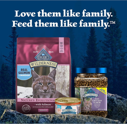 Blue Buffalo Wilderness Natural High Protein, Grain Free Dry Food for Adult Cats, Salmon - 11 lbs