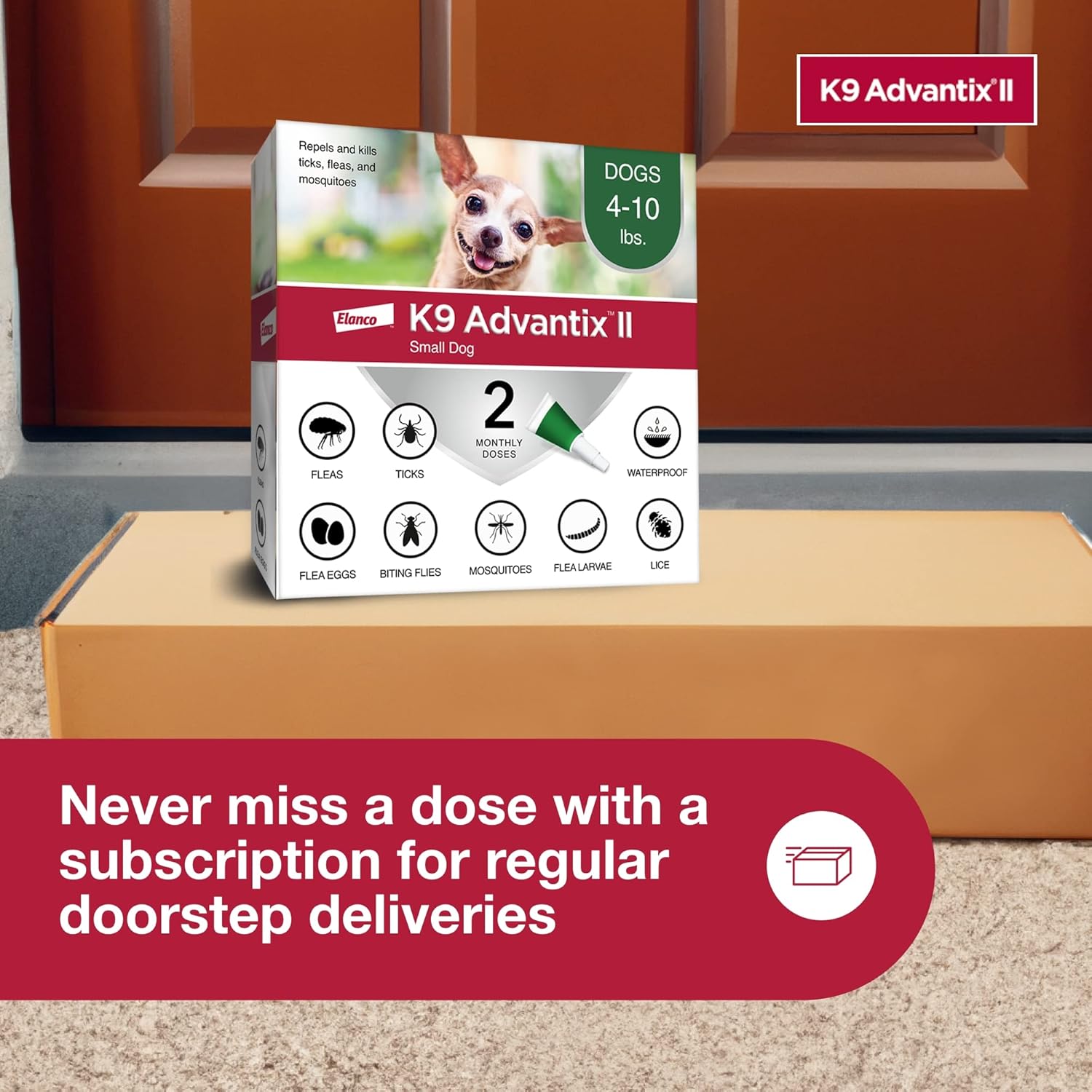 II Small Dog Vet-Recommended Flea, Tick & Mosquito Treatment & Prevention | Dogs 4-10 Lbs. | 2-Mo Supply