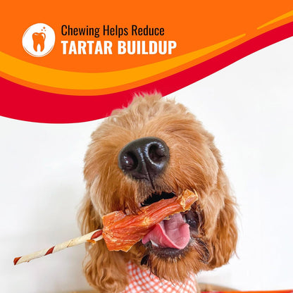 Good 'N' Fun Kabobs Long-Lasting Dog Treat, with Real Proteins, Beef Hide and Premium Chicken, Supports Dental Health, Mental Stimulation, 18 Count
