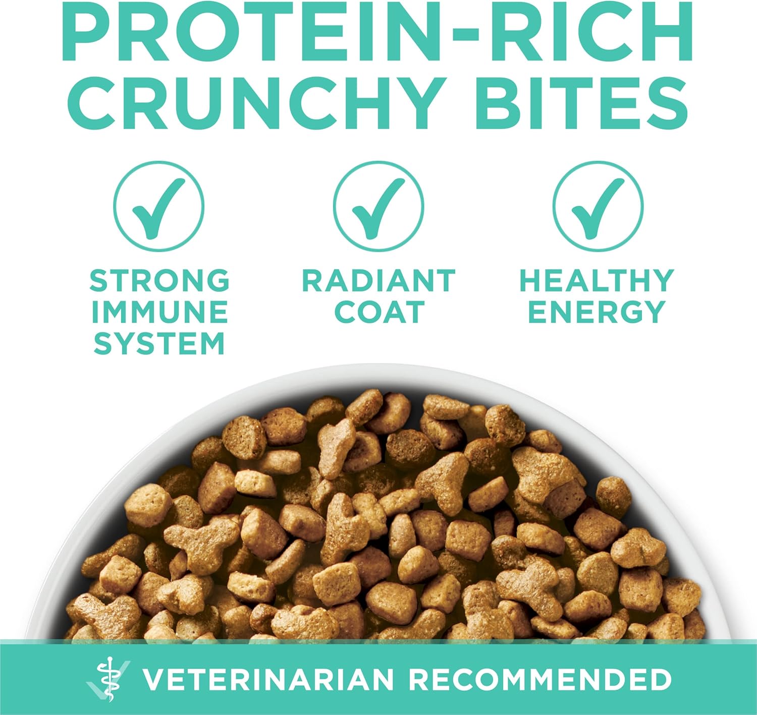 Purina ONE Sensitive Stomach, Sensitive Skin, Natural Dry Cat Food, +Plus Sensitive Skin and Stomach Formula 