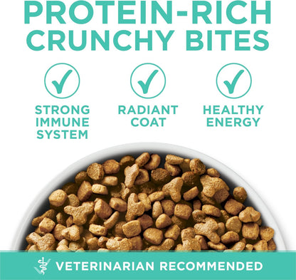 Purina ONE Sensitive Stomach, Sensitive Skin, Natural Dry Cat Food, +Plus Sensitive Skin and Stomach Formula 