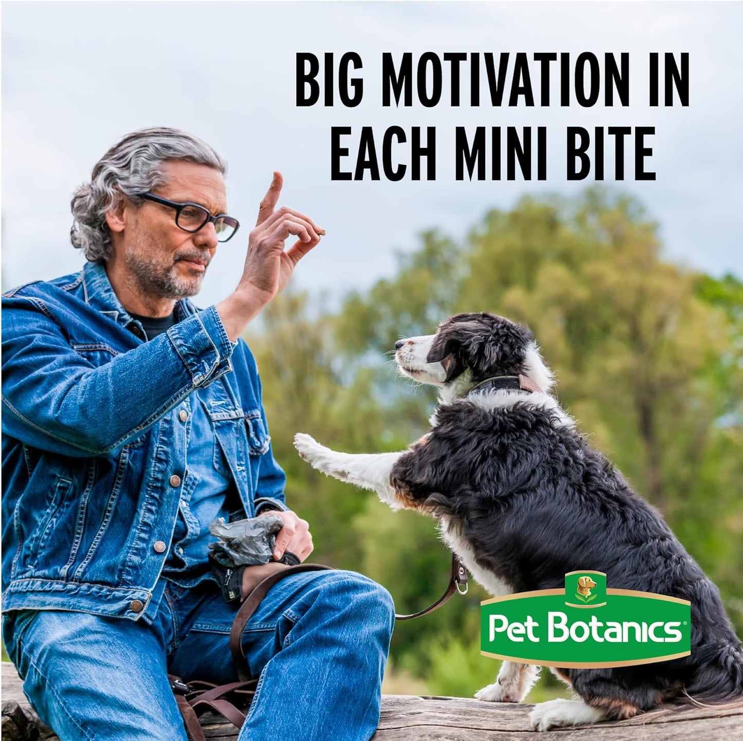 20 Oz. Pouch Training Reward Soft & Chewy, Chicken Flavor, with 500 Treats per Bag, the Choice of Top Trainers