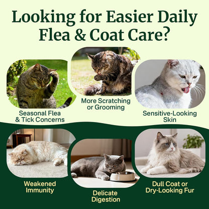 Flea and Tick Prevention for Cats, Cat Flea and Tick Treatment Chew