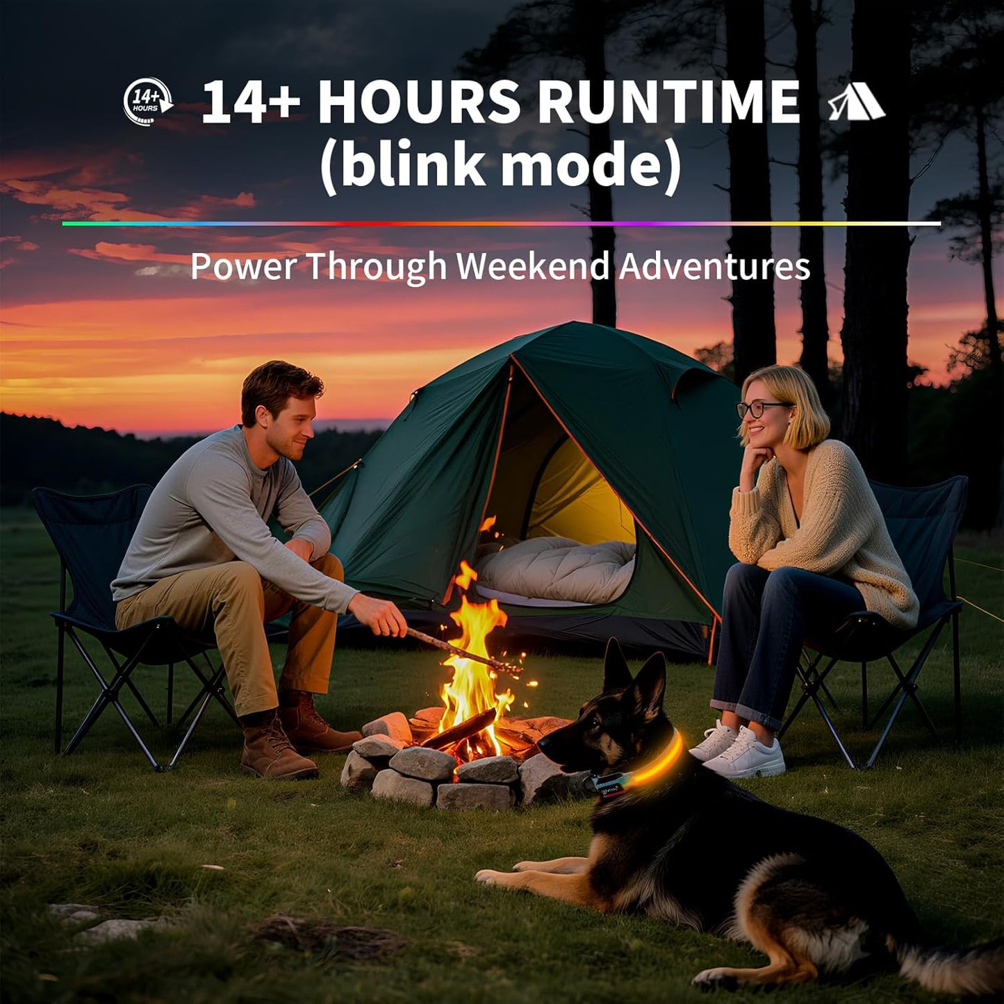 Premium LED Dog Collar for Night Walking - Light up Dog Collar Cycle 7 Solid Colors - Lighted Dog Collars USB C Rechargeable - Waterproof Glow in the Dark Dog Collars - Adjustable, Fashion, Safety(S)