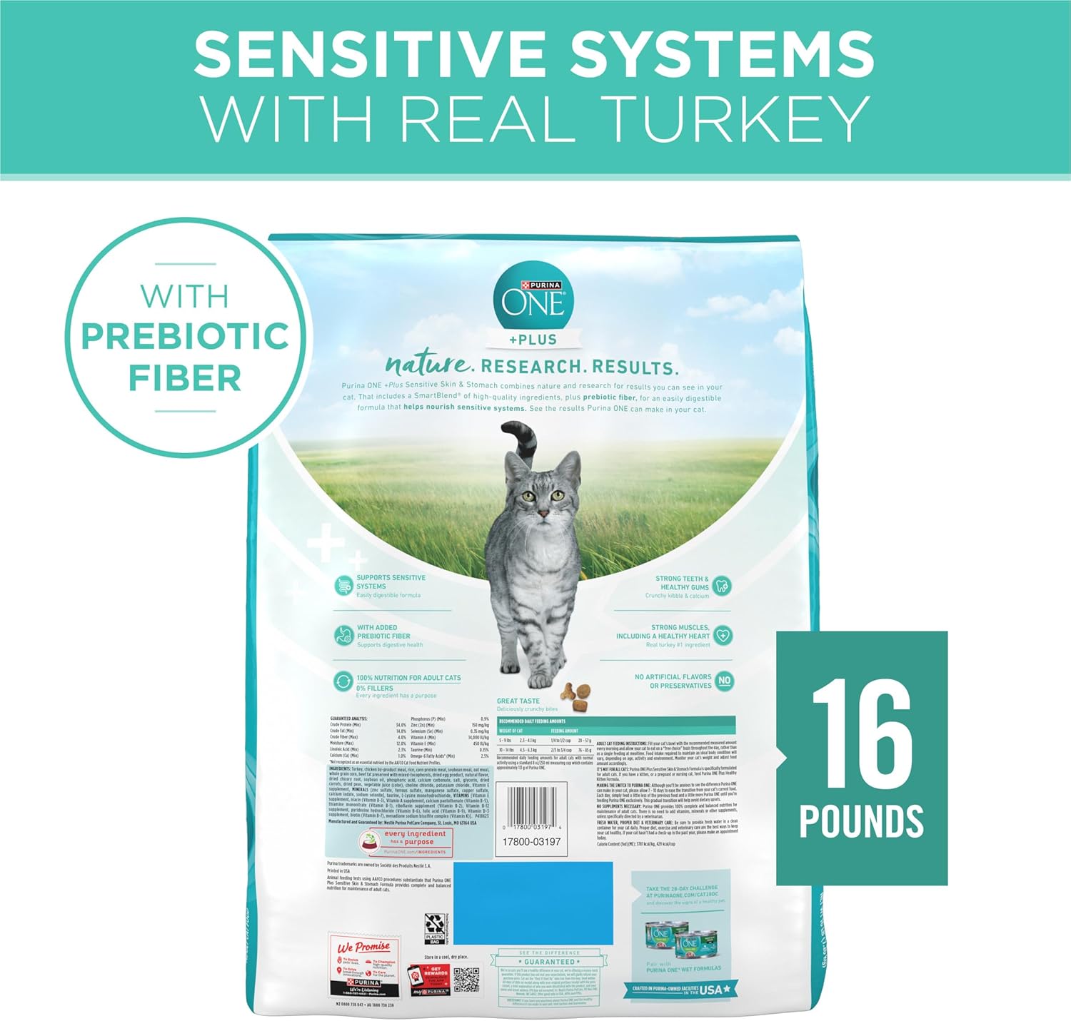 Purina ONE Sensitive Stomach, Sensitive Skin, Natural Dry Cat Food, +Plus Sensitive Skin and Stomach Formula 