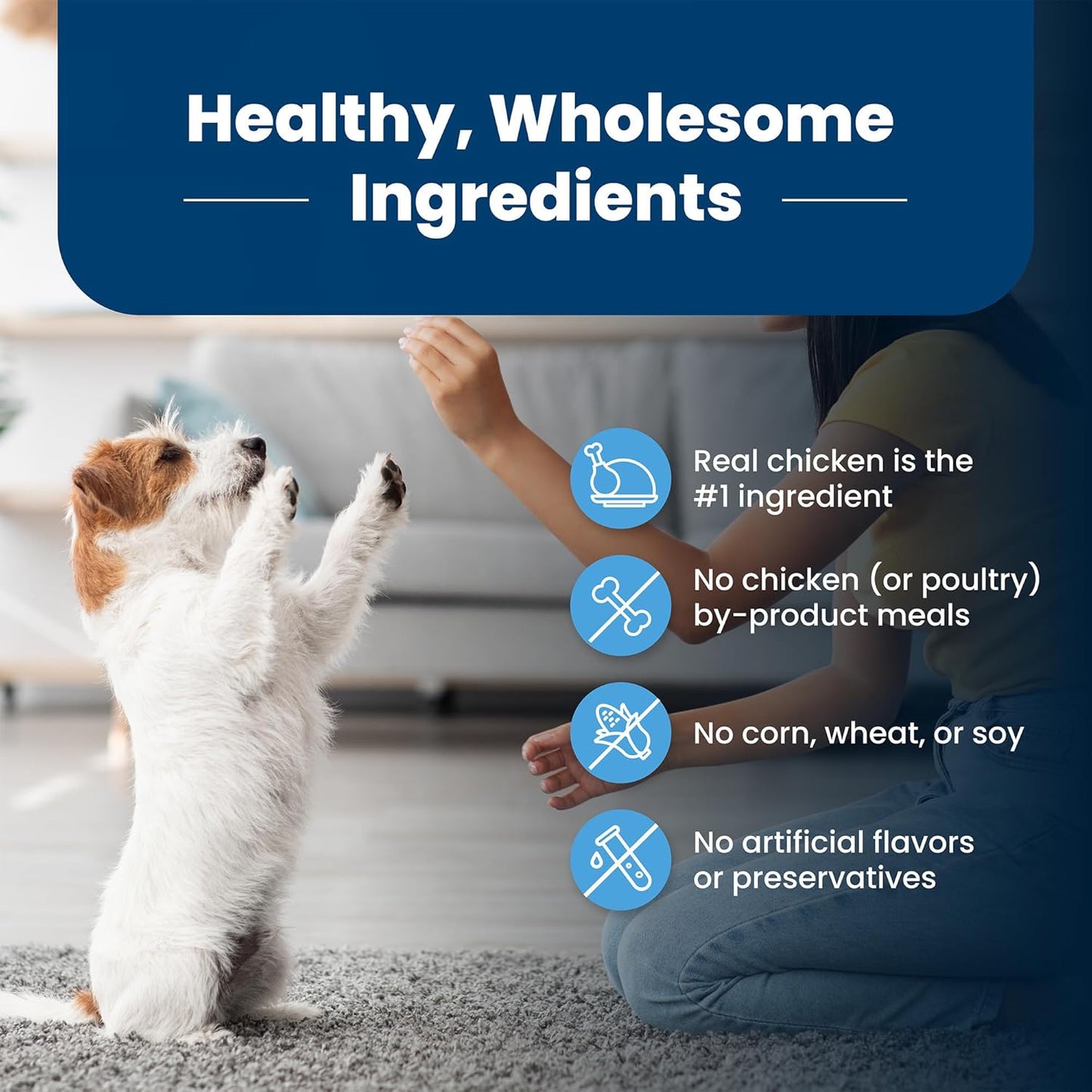 Life Protection Formula Puppy Dry Dog Food with DHA and ARA, Made with Natural Ingredients, Chicken & Brown Rice Recipe, 15-Lb Bag