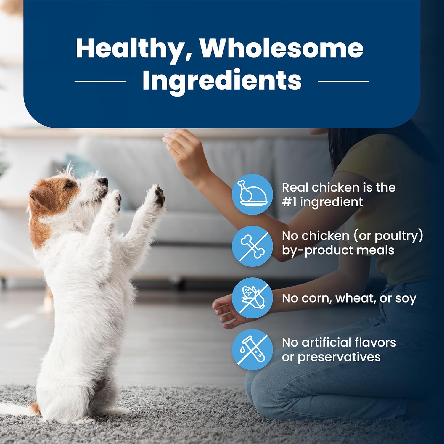 Life Protection Formula Puppy Dry Dog Food with DHA and ARA, Made with Natural Ingredients, Chicken & Brown Rice Recipe, 15-Lb Bag