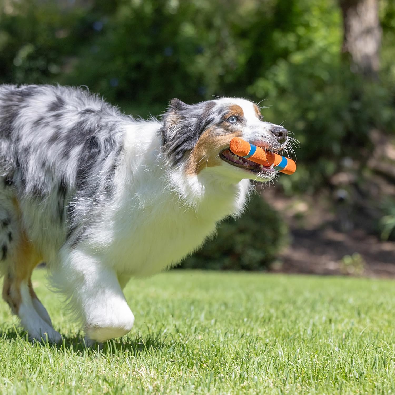 Interactive Dog Toy Ultra Fetch Stick Day & Night Bundle, 12 Inches, Outdoor, Pack of 2