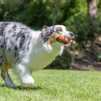 Interactive Dog Toy Ultra Fetch Stick Day & Night Bundle, 12 Inches, Outdoor, Pack of 2