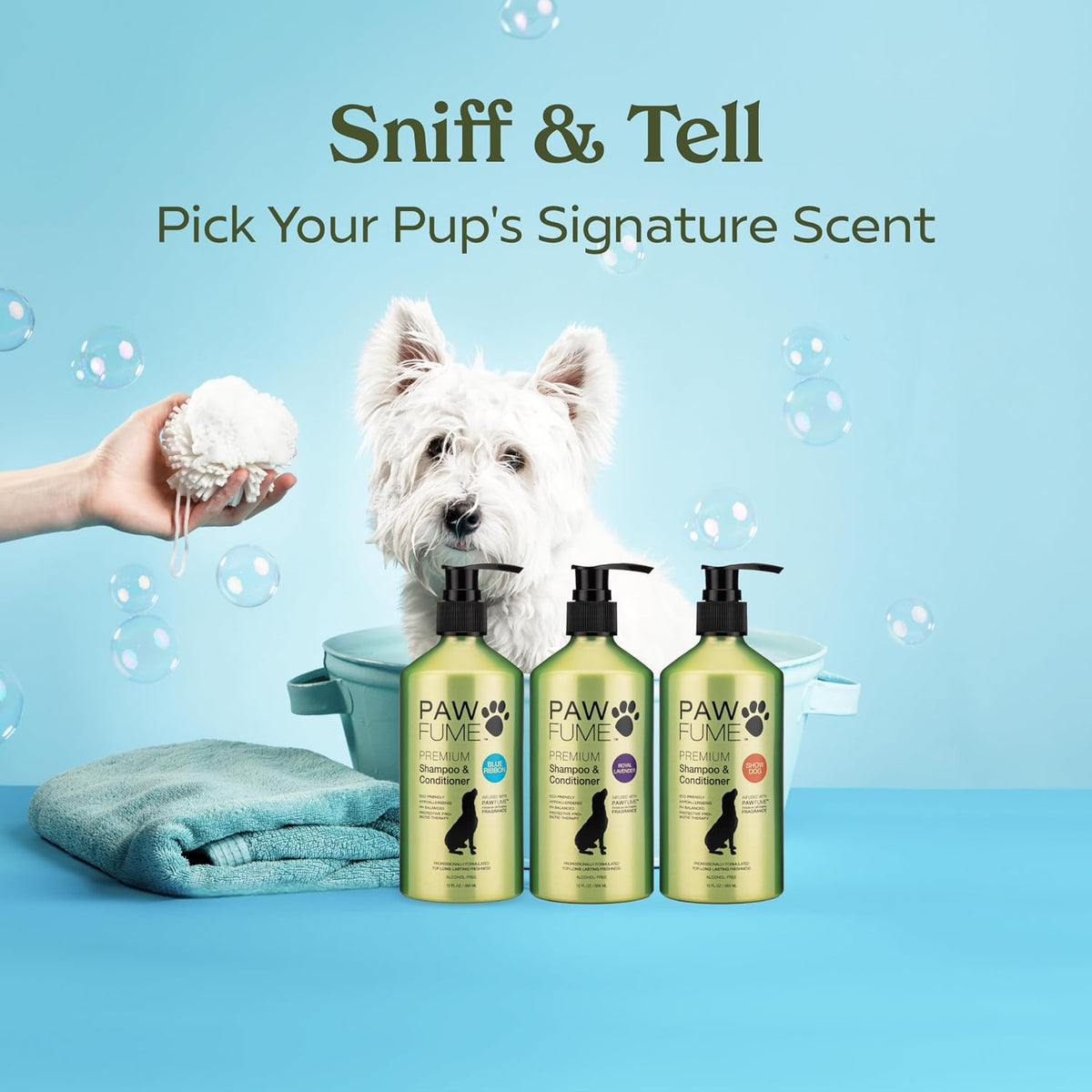 PAWFUME Dog Shampoo and Conditioner, Blue Ribbon, 1-Pack