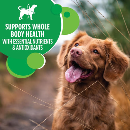 Proactive Health Minichunks Adult Dry Dog Food with Real Chicken, 7 Lb. Bag