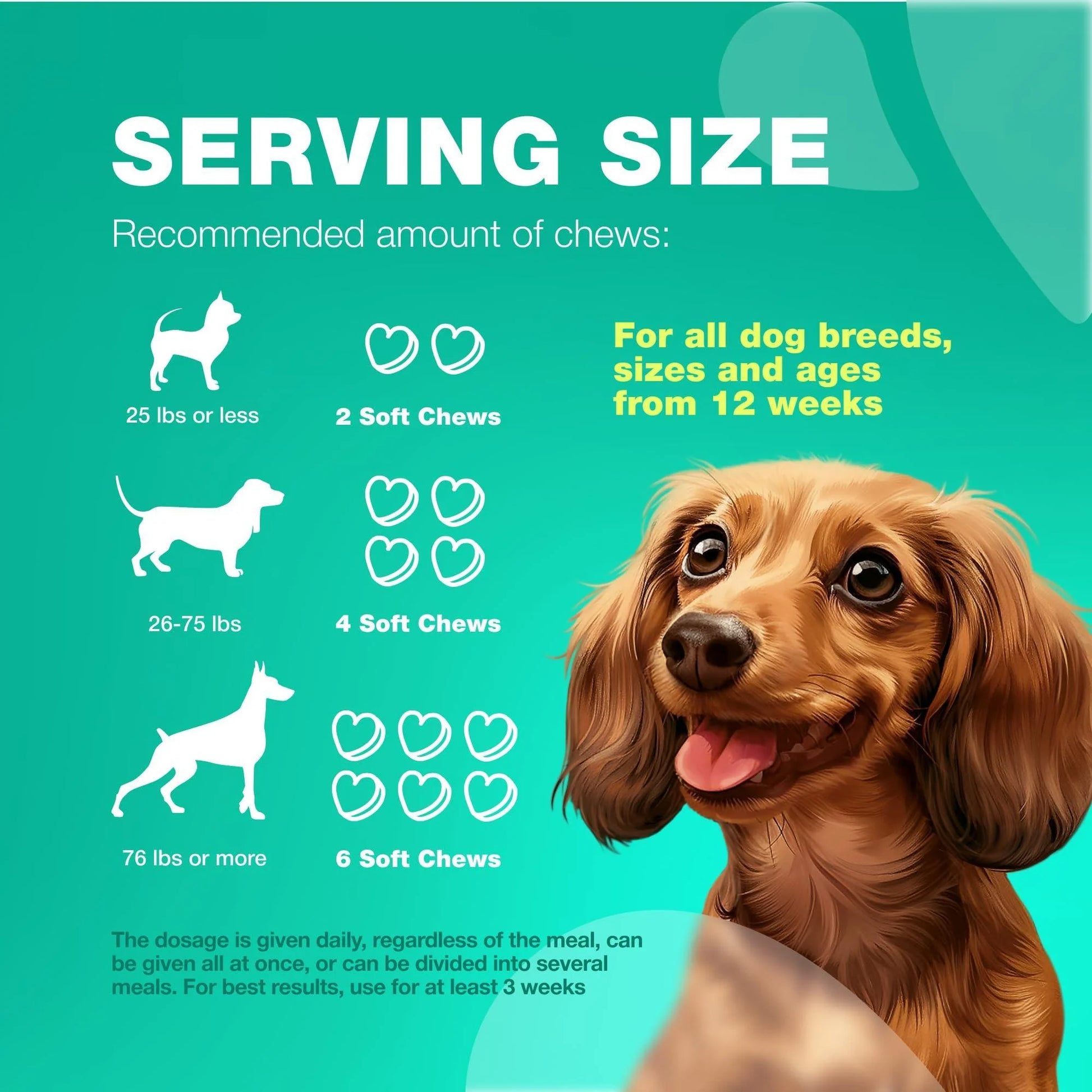 Probiotics for Dogs Gut Health Digestion Immunity Yeast Balance Itchy Skin Allergies Support Dog Probiotic Chews with Digestive Enzymes for Gut Flora Soft Treats with Pumpkin and Yeast Powder