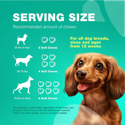 Probiotics for Dogs Gut Health Digestion Immunity Yeast Balance Itchy Skin Allergies Support Dog Probiotic Chews with Digestive Enzymes for Gut Flora Soft Treats with Pumpkin and Yeast Powder