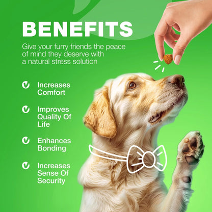 Grass Spot Chews for Dogs Probiotic Multivitamins Enzymes Vitality & UTI & Digective Support Urine Neutralizer for Lawn