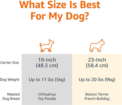 Amazon Basics 2-Door Top-Load Hard-Sided Dogs, Cats Pet Travel Carrier, Gray & Blue, 22.8"L X 15.0"W X 13.0"H