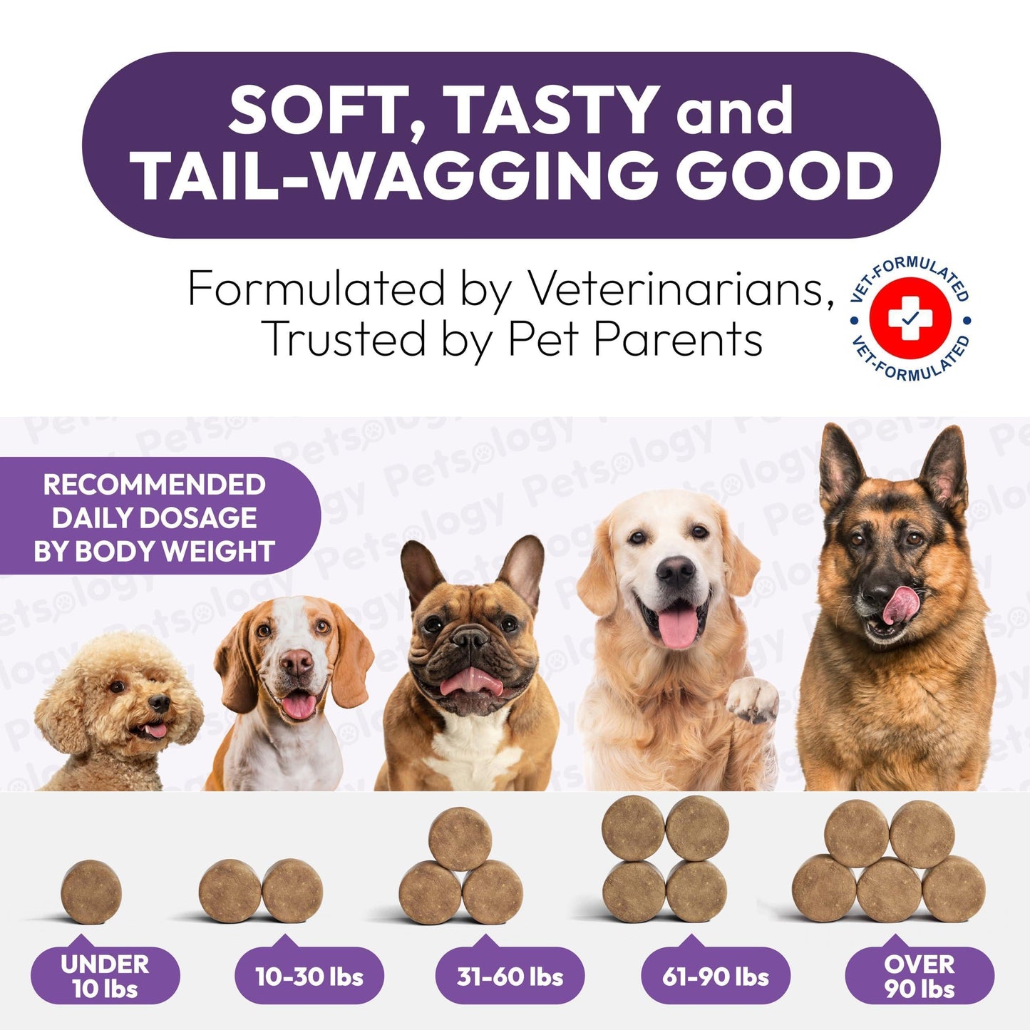 Dog Multivitamin Chewable Vitamins Supplements with Glucosamine 170 Chews Hip