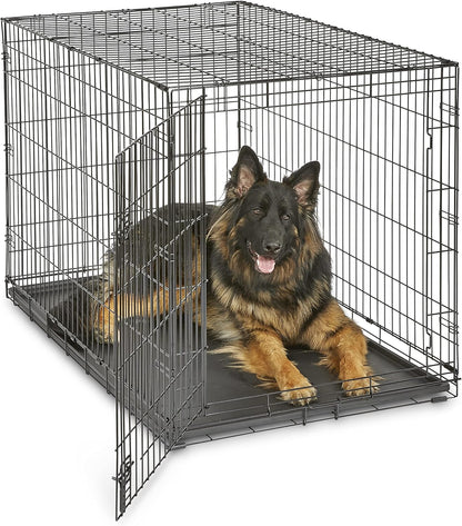 Single Door Folding Metal 36-Inch Dog Crate, Enhanced Security, Includes Leak-Proof Pan & Divider Panel, for Medium to Large Sized Breeds