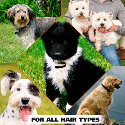 Wahl USA Deodorizing & Refreshing Pet Deodorant for Dogs - Eucalyptus & Spearmint Scent to Refresh the Skin and Coat 