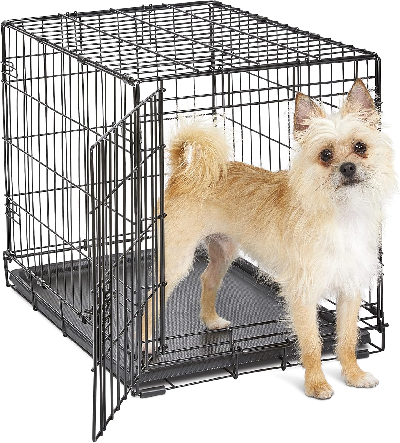 Single Door Folding Metal 36-Inch Dog Crate, Enhanced Security, Includes Leak-Proof Pan & Divider Panel, for Medium to Large Sized Breeds