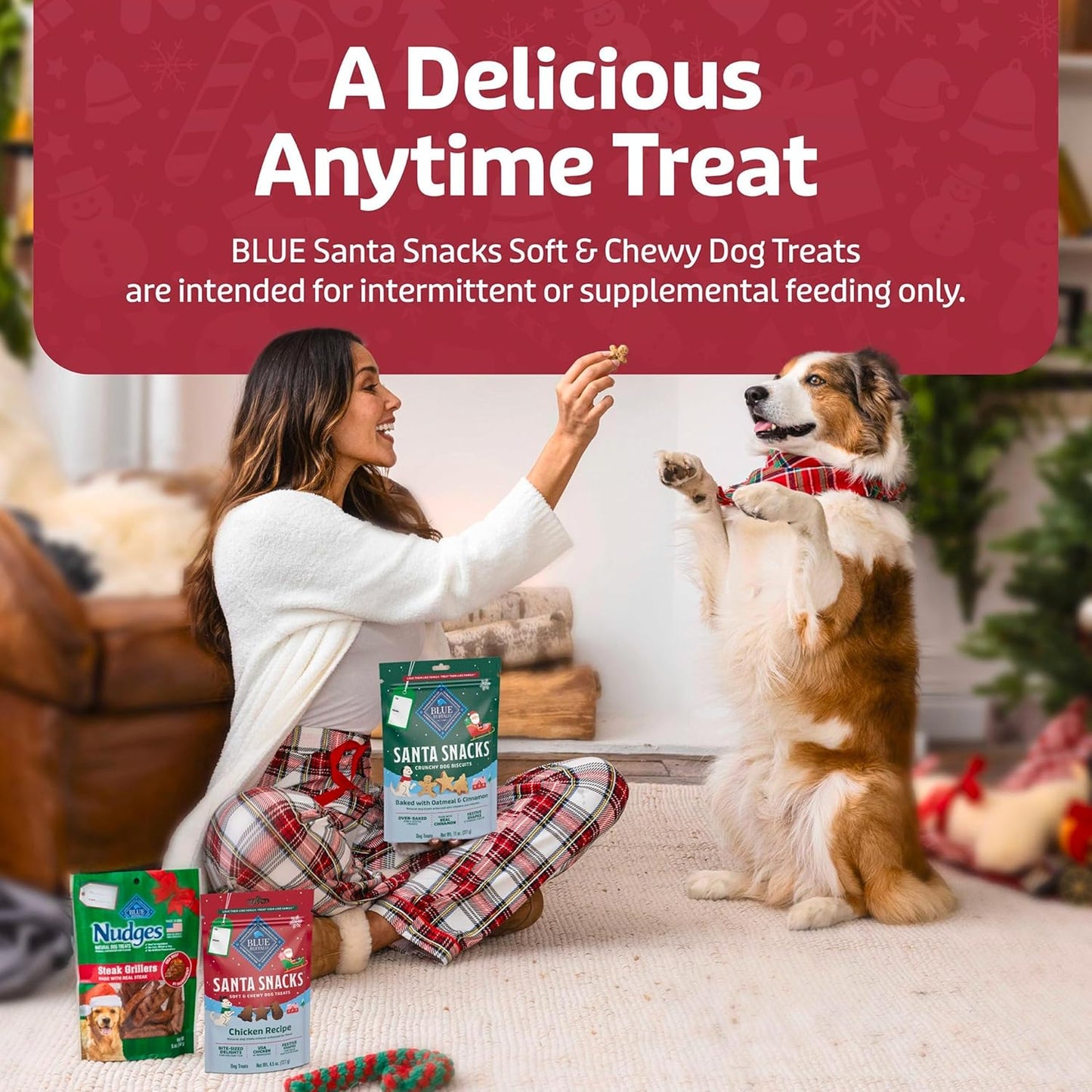 Santa Snacks Soft-Moist Dog Bits for Training, Chicken, 4.5-Oz Bag