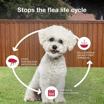 II Small Dog Vet-Recommended Flea, Tick & Mosquito Treatment & Prevention | Dogs 4-10 Lbs. | 2-Mo Supply