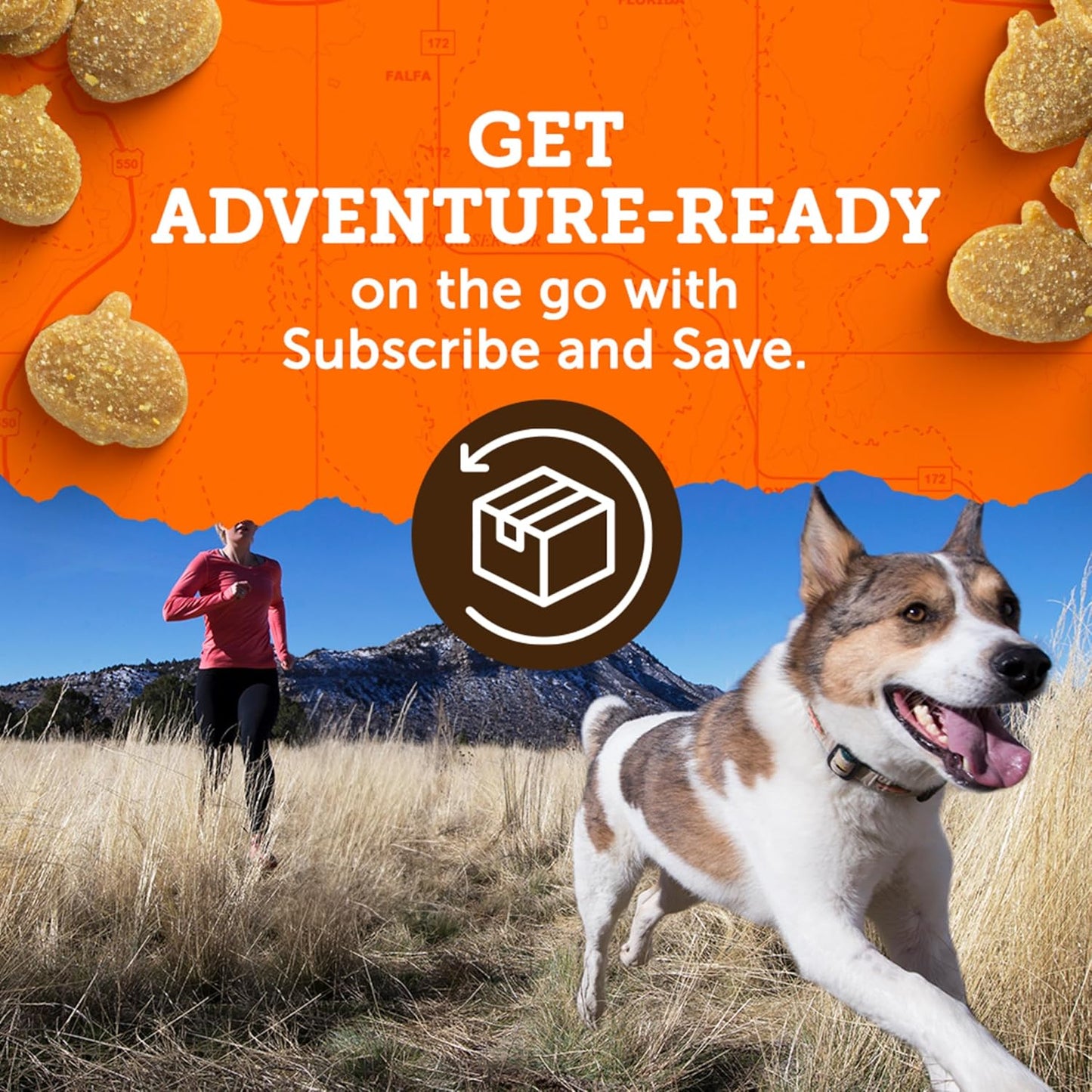 , Treats Mini Naturals Chicken Recipe, 6 Ounce (Pack of 2)