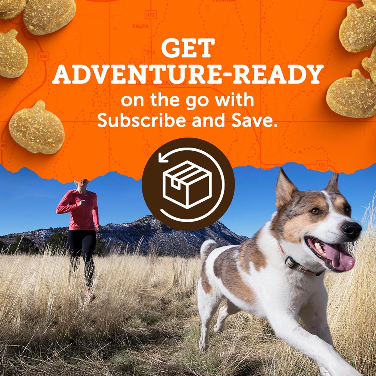 , Treats Mini Naturals Chicken Recipe, 6 Ounce (Pack of 2)