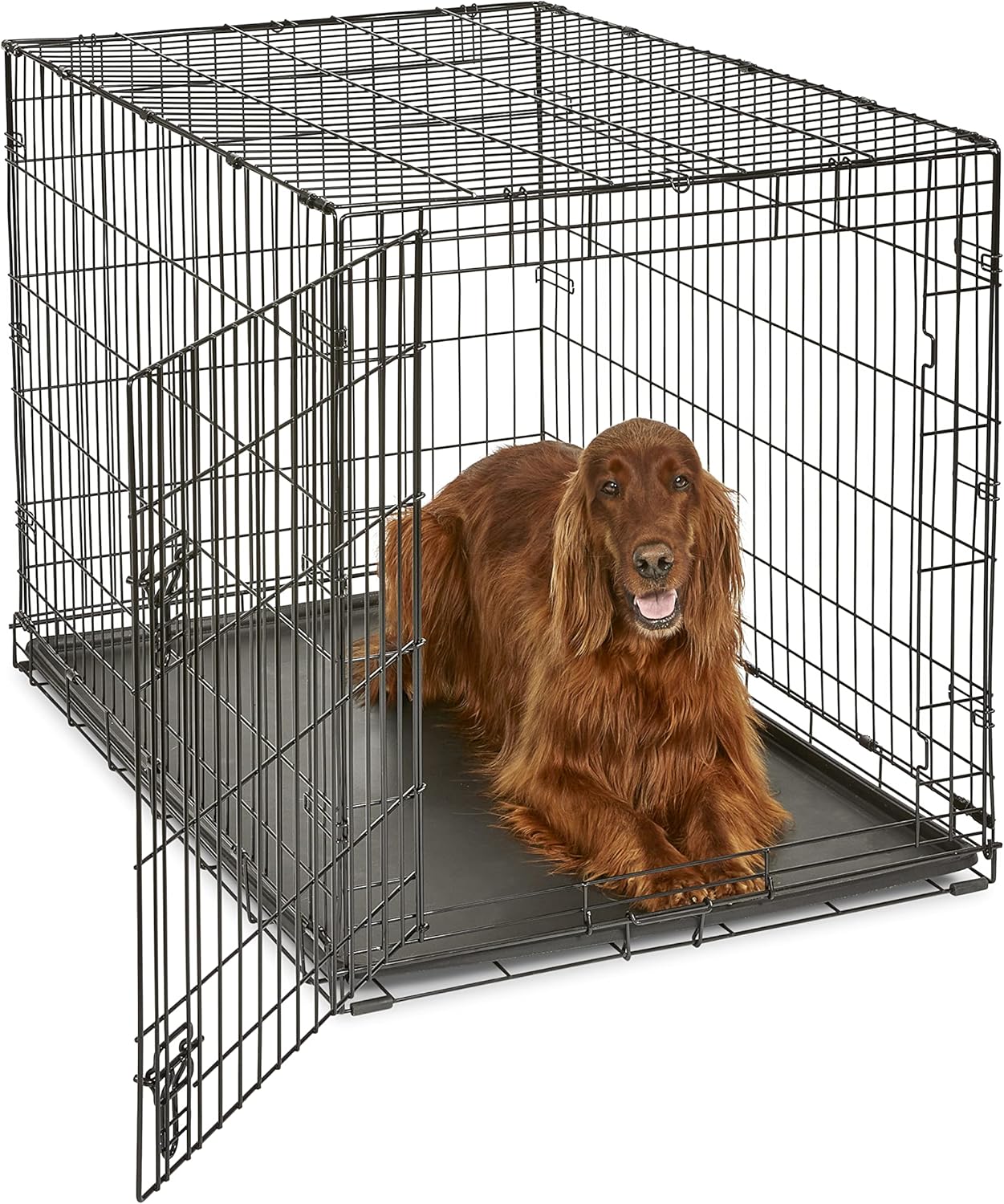 Single Door Folding Metal 36-Inch Dog Crate, Enhanced Security, Includes Leak-Proof Pan & Divider Panel, for Medium to Large Sized Breeds